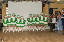 2026_efg_stadtweiberfasching_1_s