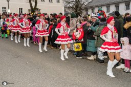 2026_efg-faschingszug_84_s