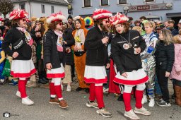 2026_efg-faschingszug_91_s