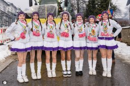 2026_faschingszug_hammerles_003