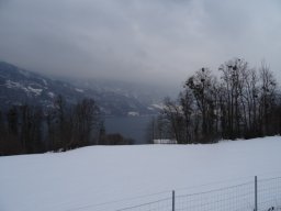 dsc00210-600