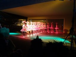 dsc00342-600