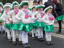efgfaschingszug023