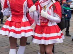 efgfaschingszug063